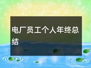 電廠員工個人年終總結(jié)