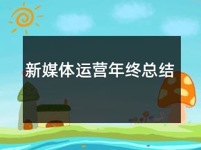 新媒體運(yùn)營年終總結(jié)