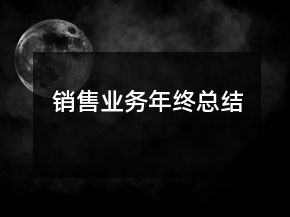 銷售業(yè)務(wù)年終總結(jié)