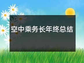 空中乘務(wù)長年終總結(jié)