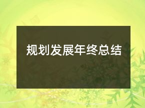 規(guī)劃發(fā)展年終總結(jié)