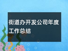 街道辦開發(fā)公司年度工作總結(jié)