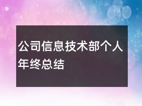 公司信息技術部個人年終總結
