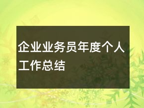 企業(yè)業(yè)務(wù)員年度個(gè)人工作總結(jié)