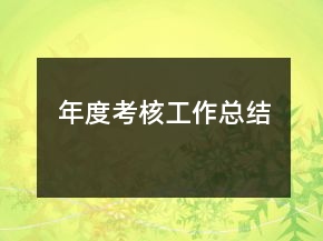 年度考核工作總結(jié)