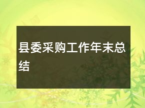 縣委采購工作年末總結(jié)