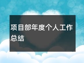 項(xiàng)目部年度個(gè)人工作總結(jié)