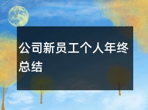 公司新員工個人年終總結