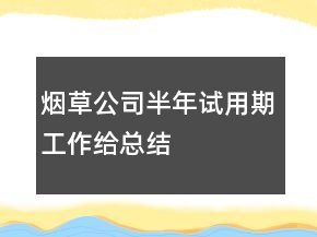 煙草公司半年試用期工作給總結(jié)