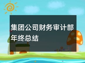 集團公司財務審計部年終總結