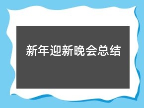 新年迎新晚會總結(jié)