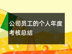 公司員工的個人年度考核總結(jié)