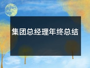 集團總經(jīng)理年終總結