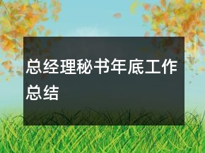 總經(jīng)理秘書年底工作總結(jié)