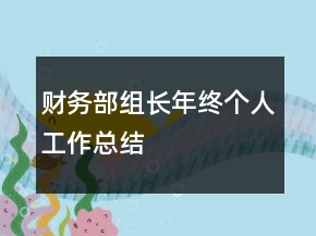 財務(wù)部組長年終個人工作總結(jié)