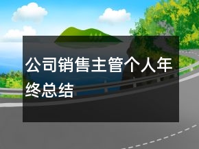 公司銷售主管個人年終總結(jié)