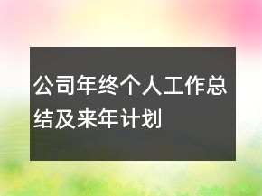 公司年終個(gè)人工作總結(jié)及來(lái)年計(jì)劃