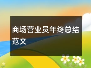 商場(chǎng)營(yíng)業(yè)員年終總結(jié)范文