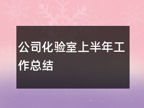 公司化驗室上半年工作總結(jié)