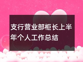 支行營(yíng)業(yè)部柜長(zhǎng)上半年個(gè)人工作總結(jié)