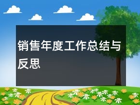 銷(xiāo)售年度工作總結(jié)與反思