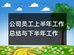 公司員工上半年工作總結(jié)與下半年工作計(jì)劃