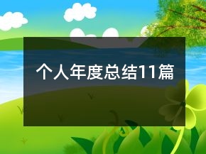個人年度總結11篇