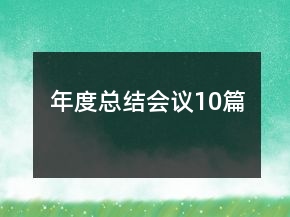 年度總結(jié)會議10篇