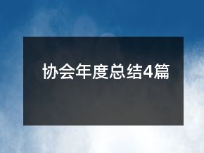 協(xié)會年度總結(jié)4篇