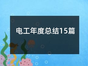 電工年度總結15篇
