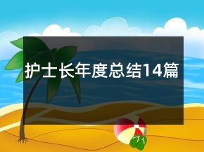護(hù)士長(zhǎng)年度總結(jié)14篇