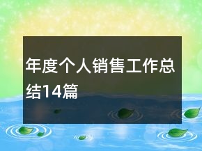 年度個(gè)人銷售工作總結(jié)14篇