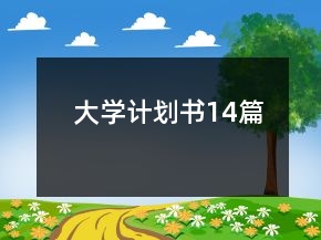 大學(xué)計(jì)劃書14篇