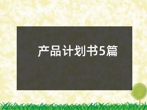 產(chǎn)品計(jì)劃書5篇