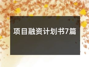 項目融資計劃書7篇