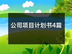 公司項(xiàng)目計(jì)劃書4篇