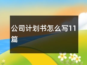 公司計劃書怎么寫11篇