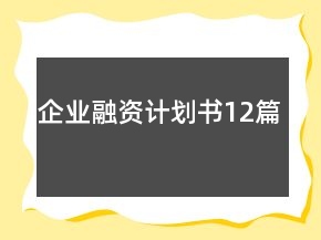 企業(yè)融資計(jì)劃書(shū)12篇