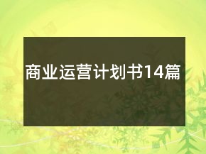 商業(yè)運(yùn)營(yíng)計(jì)劃書(shū)14篇
