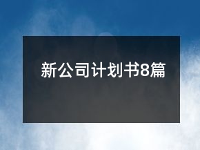 新公司計劃書8篇
