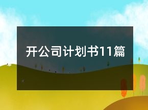 開公司計(jì)劃書11篇