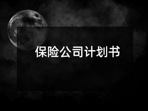保險(xiǎn)公司計(jì)劃書