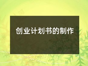創(chuàng)業(yè)計劃書的制作