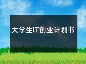 大學(xué)生IT創(chuàng)業(yè)計(jì)劃書