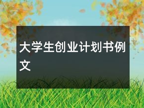 大學(xué)生創(chuàng)業(yè)計劃書例文