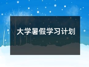 大學(xué)暑假學(xué)習(xí)計劃