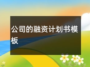 公司的融資計(jì)劃書模板