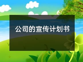 公司的宣傳計劃書