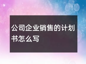 公司企業(yè)銷售的計劃書怎么寫