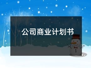 公司商業(yè)計(jì)劃書